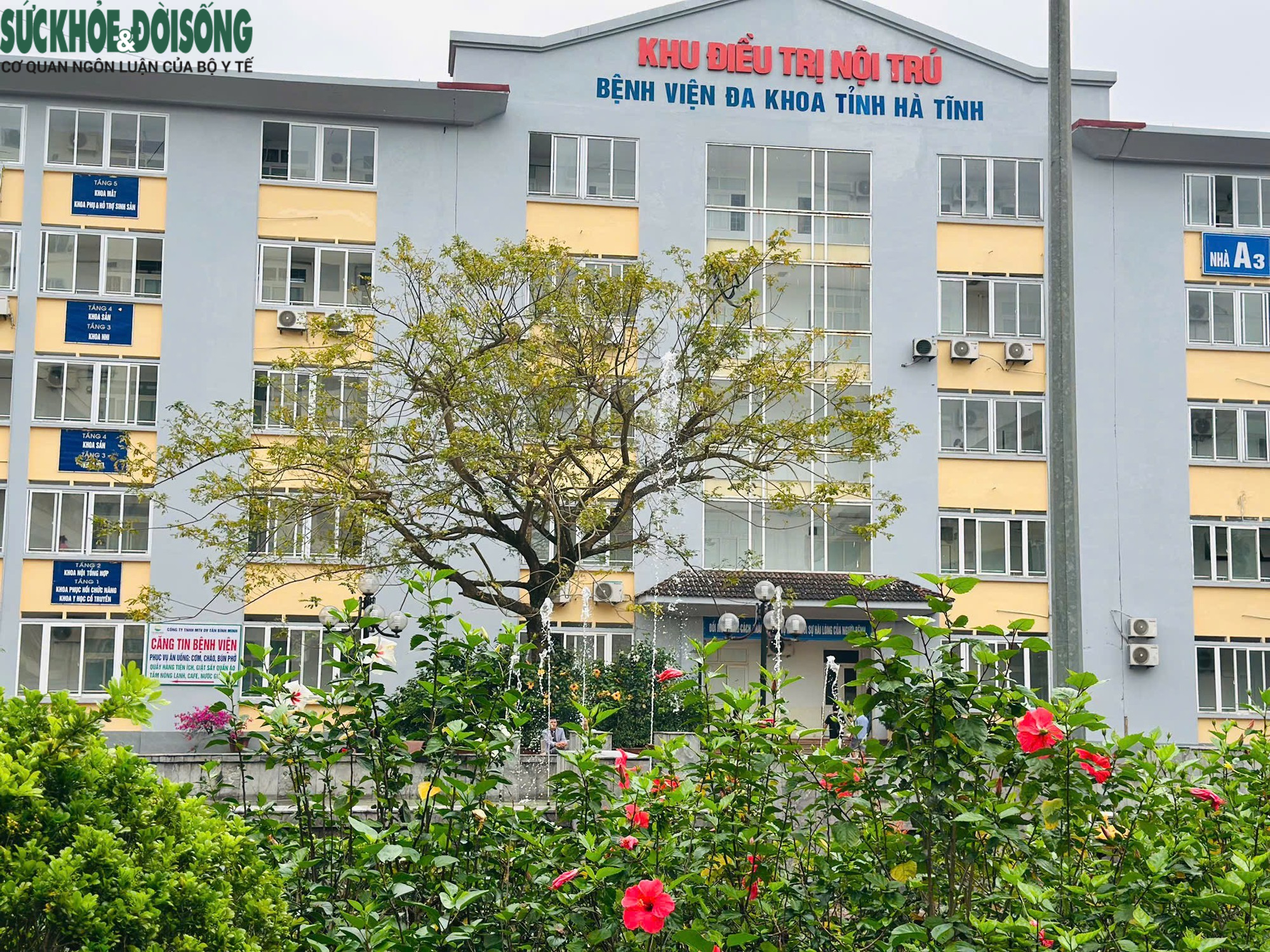 Tiết kiệm năng lượng, lợi người bệnh (Kỳ 3): Thêm nguồn lực, xanh hoá nền y tế- Ảnh 3.