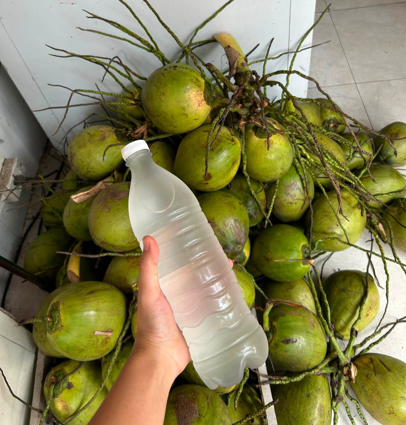 Cách bù nước đúng cách và ăn uống giúp người bệnh sốt xuất huyết hồi phục - Ảnh 2.