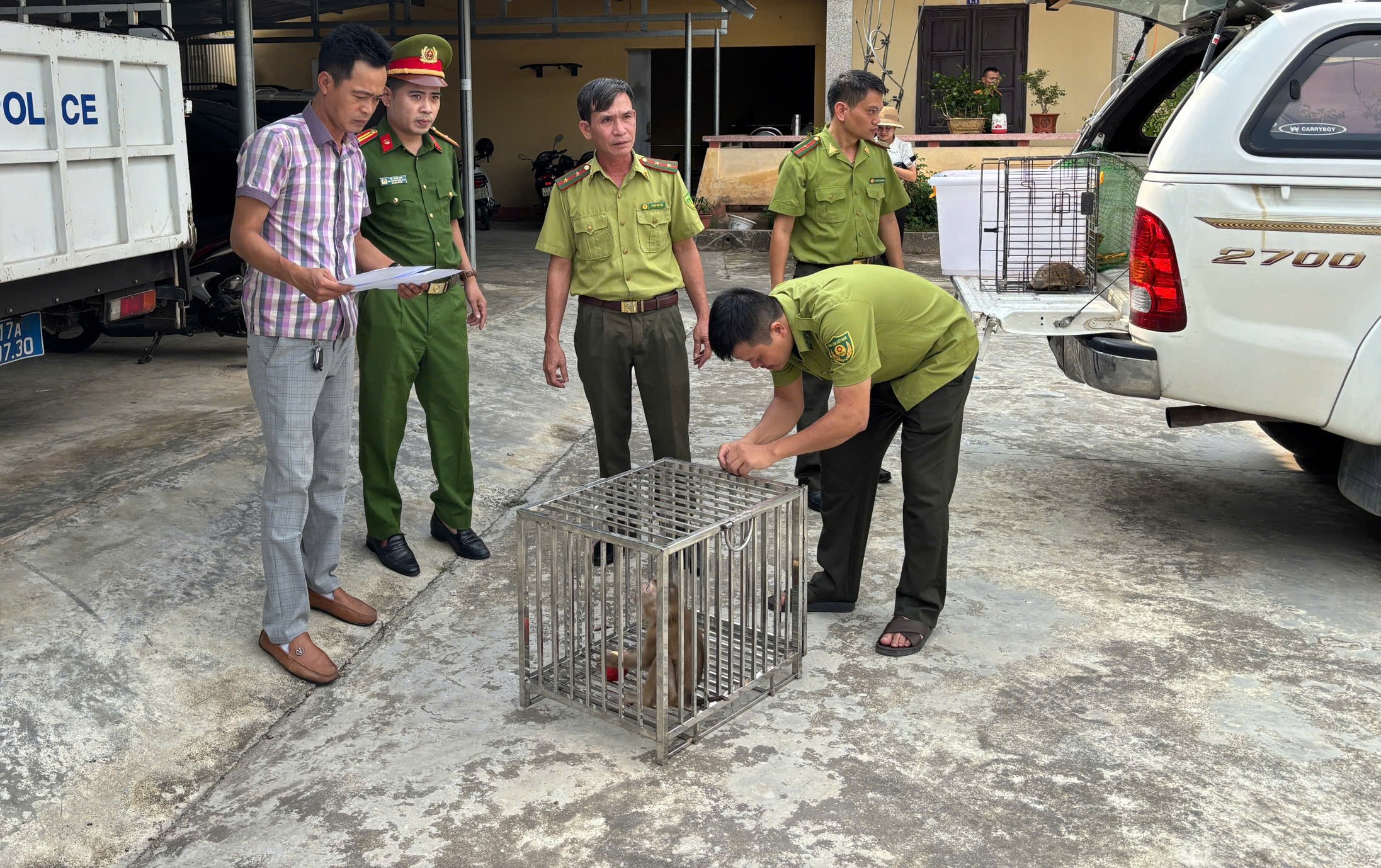 Bắt được khỉ quý hiếm lạc vào nhà, nam thanh niên mang nộp công an- Ảnh 1.