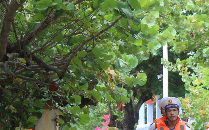 Bàn giao 32 ngư dân gặp nạn trên biển để đưa về đất liền- Ảnh 4.
